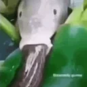 fisheatingeeltiktokgif24477918 emote for Discord