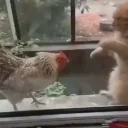 FightClub emote for Discord