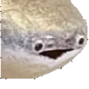 fishJam emote for Discord