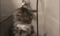 firecarter emote for Discord