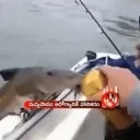 fishdrinkingbeer emote for Discord