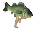 FishZoot emote for Discord