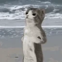 fight2 emote for Discord