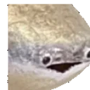 fishShake emote for Discord