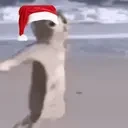 fight emote for Discord