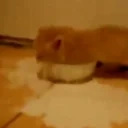 fighting emote for Discord