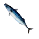 FISHSPIN emote for Discord