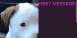 FirstTimeWoofer emote for Discord