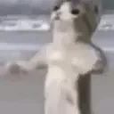 fightMEbL emote for Discord