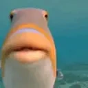 FISHLOVE emote for Discord