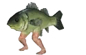 fishJam emote for Discord
