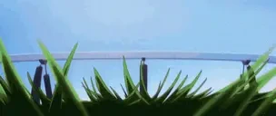 FistBump emote for Discord