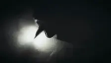 firewritingJin emote for Discord