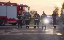 FireDeptArriveToSaveWhale emote for Discord