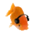 FishVibe emote for Discord