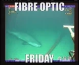 FibreOpticFriday emote for Discord