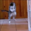 FightingMyInnerDemons emote for Discord