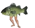 FishPls2 emote for Discord