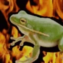 firefroge emote for Discord