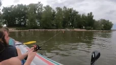 fishing emote for Discord