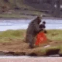 Fight emote for Discord