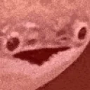 FishVibe emote for Discord