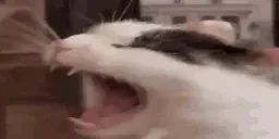 FifteenMillionSoulsLivi emote for Discord