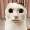 Fingles emote for Discord