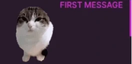 FirstTimewawa emote for Discord