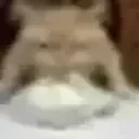 FifthOfMarchIncidentftBror emote for Discord