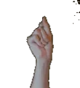 fitzSnap emote for Discord