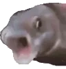 FishInhale emote for Discord