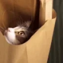 finlayLurk emote for Discord