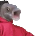 fishrap emote for Discord