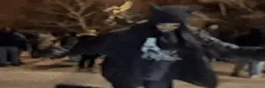 finfinfin emote for Discord