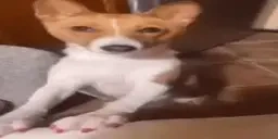 Finger emote for Discord