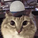 FireFo0oX emote for Discord