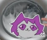 fiku5Wash emote for Discord
