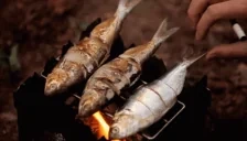 fishgrill emote for Discord