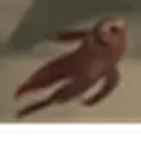 fishityDANCE emote for Discord