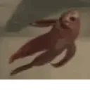 FishityDANCE emote for Discord