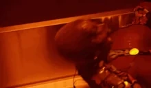 fantasiaS emote for Discord