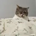 fapfap emote for Discord