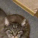 fauriel emote for Discord