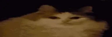 fatWeird emote for Discord