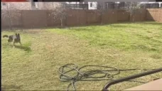 FATS emote for Discord