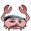 Falaxiicrabby emote for Discord