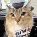 FBI emote for Discord