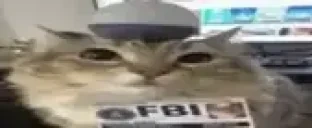 FBI emote for Discord