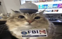 FBI emote for Discord